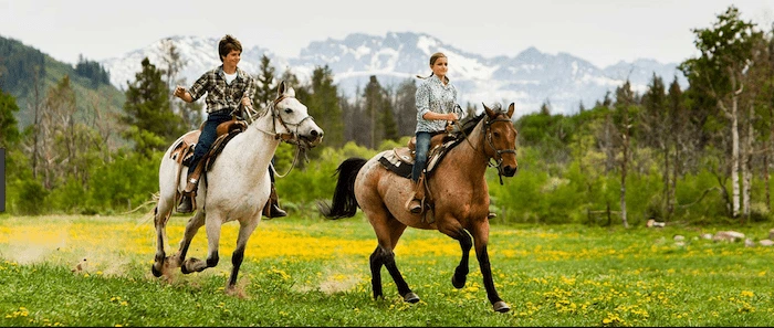 Confident plus-size woman riding Bridgnorth a horse through a field with a smile on her face.